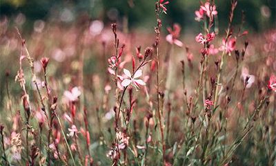 2022年三月初十是求婚的好日子吗?