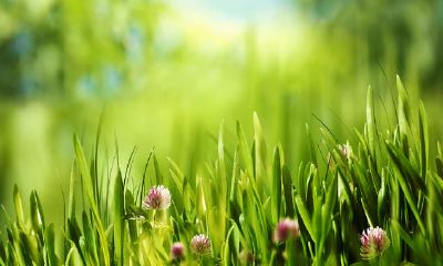 五行不但能分析八字,也可以从几十个流年中分析后运怎样