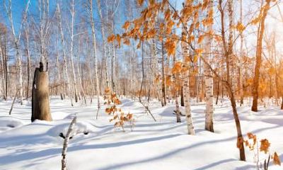 2022年农历九月二十四出生的是什么星座?幸运数字是什么?