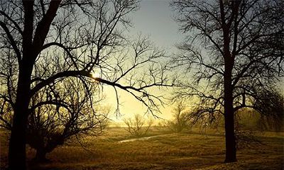 2022壬寅虎年农历三月二十五是理发的吉日吗?