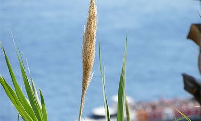 2022年农历九月二十三出生的宝宝是什么星座?有什么性格特点?