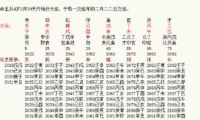 八字实例之四柱详细说明