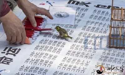 易学干货,六爻预测基本原则!