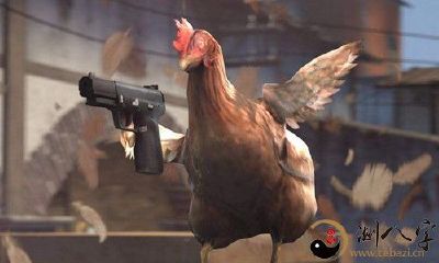 梦到自己击败一只老母鸡