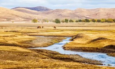 六爻卦简单速断法