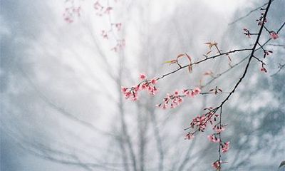 农历十一月是什么命?壬寅年冬月出生的虎好吗