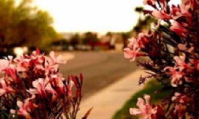 六爻预测之爻之三刑