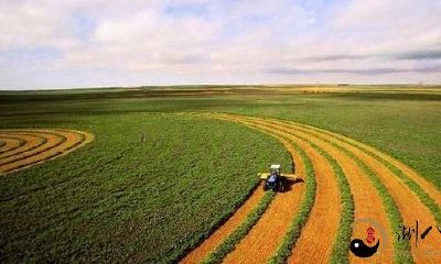 梦见和别人种地