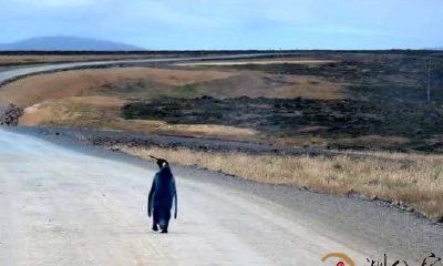 梦见自己在黑暗中迷路了