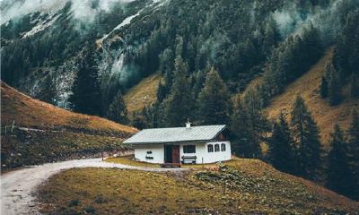 梦到坟墓前歌唱