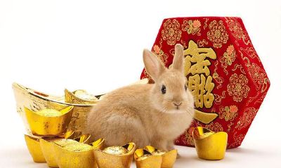 这个月份出生的属相兔,财丰禄足吉星高照,一生安心富贵荣华