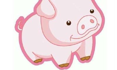 属猪人的婚姻运势与感情