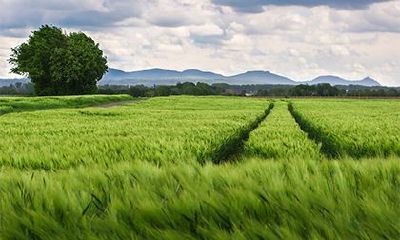 2022虎年农历十二月十一日是出行的黄道吉日吗?