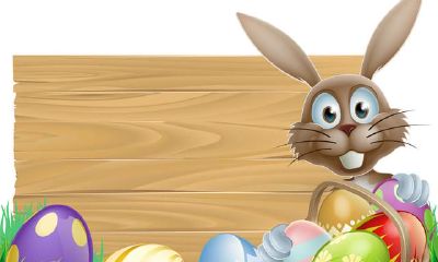 12生肖的属兔人,隐藏在内心最阴暗的一面是什么