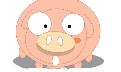 9个数据,看猪属相一生运势!