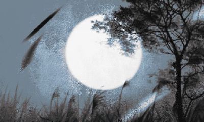 2023年动婚姻宫的八字