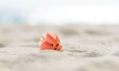 天蝎座,一个英勇而不莽撞的星座