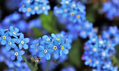 2022年农历七月初五当天是理发的黄道吉日吗?