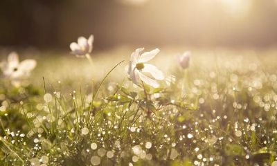 《易经》六爻做为决策每一个艮卦的核心,具备的含意