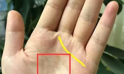 不以钱犯愁的6种掌纹,你的是吗?