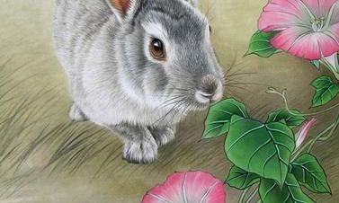 属相兔的奸险小人和贵人相助