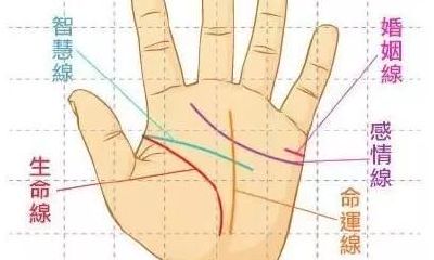 民间手相术10招,准确率高,值得一看!