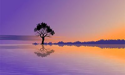 2022虎年农历五月十一日黄历日子好不好?