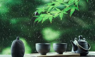 谷雨养生注意事项有哪些?谷雨节气怎么养生?