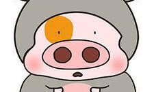 属猪人后半辈子,真的是神准!