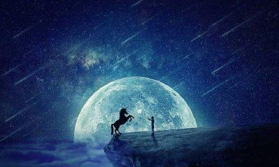 梦见姐姐生了龙凤胎