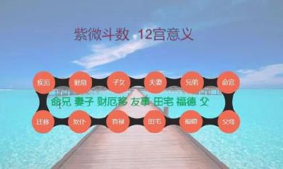 紫薇斗数福德宫看荣华富贵