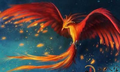 梦见凤凰展翅翱翔