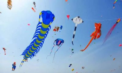 梦见风筝落在自身手上