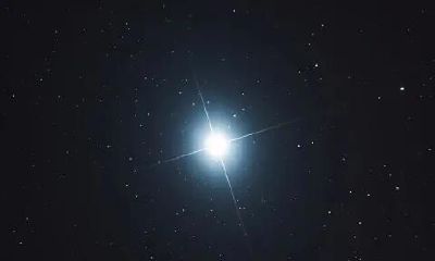 紫微斗数手记:天相星的特点