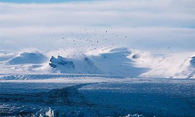 2022年农历二月是阳历几号到几号?这个月出生是什么命?