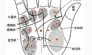 五大掌纹图解,一分钟教你测试一生运势