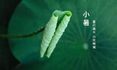 小暑由来简单介绍,小暑英文怎么说