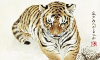 属相虎、鼠、鸡,气魄迫人,思绪机敏