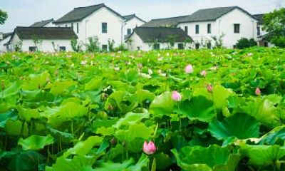 2022年大暑日出日落时间表整理最新