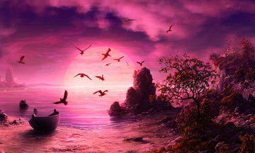 梦见飞机飞的很低