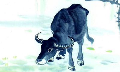 俗话“自古以来白马怕青牛、羊鼠交叉一旦休”,古代人对家庭和睦的了解