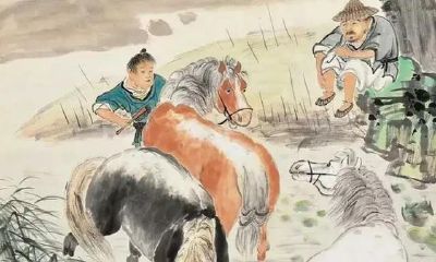 乡村俗话说“白马怕青牛”,牛和马结婚不幸福快乐吗?