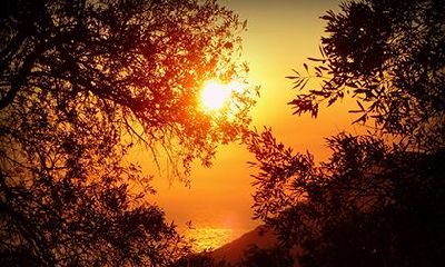 2022年壬寅虎年四月初八日出殡好不好?