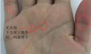 有这类掌纹的人,与生俱来便是好命格,