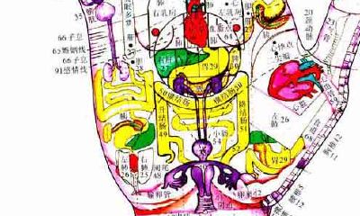 依照《手诊歌》自己看手掌心,认识自己健康
