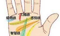 根据一个手掌心看着你一生怎样?
