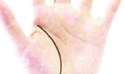 通过手掌心看人体~手掌纹的区划