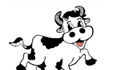 不一样年代的属相牛者运程