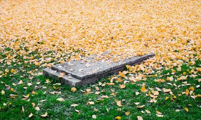 2022壬寅虎年农历五月二十四日是黄历出殡吉日吗?