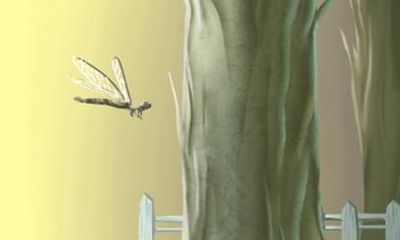 73年属牛的十年大运 未来十年的运势怎么样